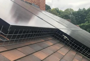 Bird Guard solar panels